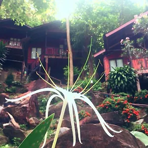 Station touristique Hill, Koh Phi Phi Don